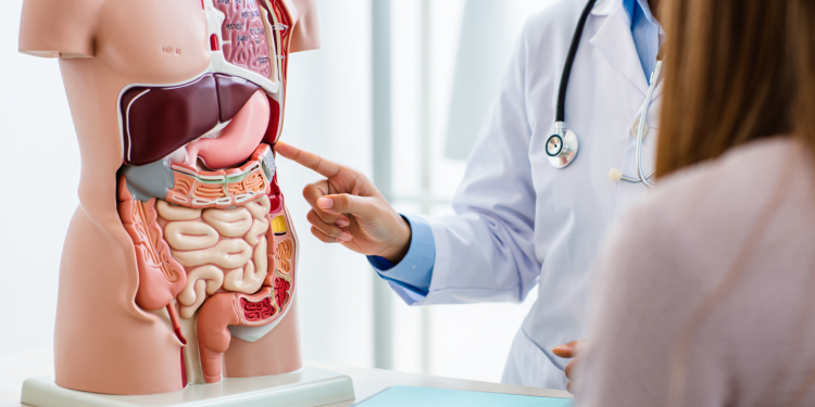 Câncer colorretal: sintomas, prevenção e importância do diagnóstico precoce - Revista Estilo - Portal de Moda