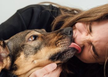 Mau Hálito Em Pets Pode Indicar Doença Bucal; Veja Sinais - Gazeta Mercantil