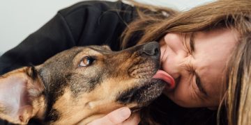 Mau Hálito Em Pets Pode Indicar Doença Bucal; Veja Sinais - Gazeta Mercantil