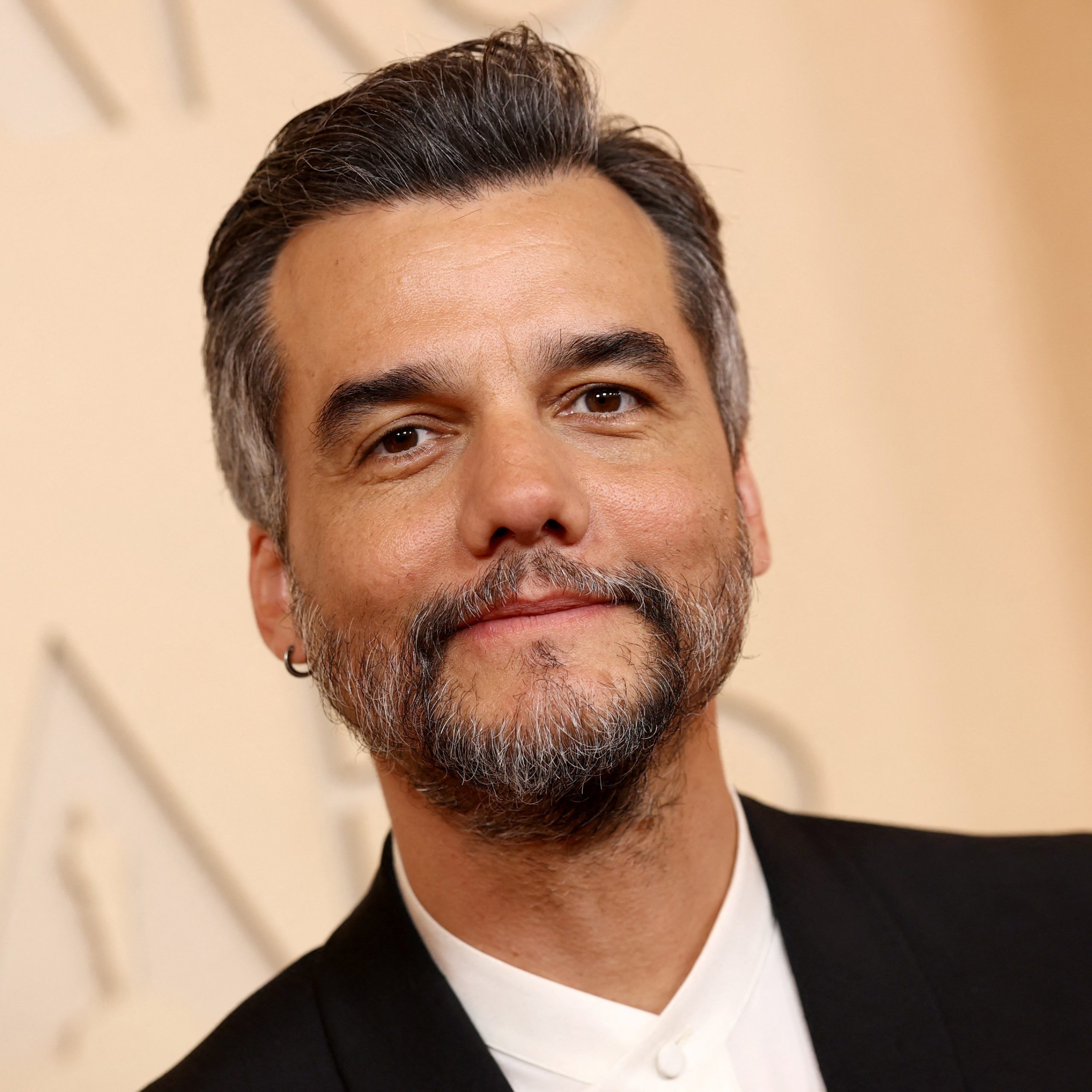 Wagner Moura Será Protagonista De Filme Com Kristen Stewart Em Thriller De Vampiros - Gazeta Mercantil